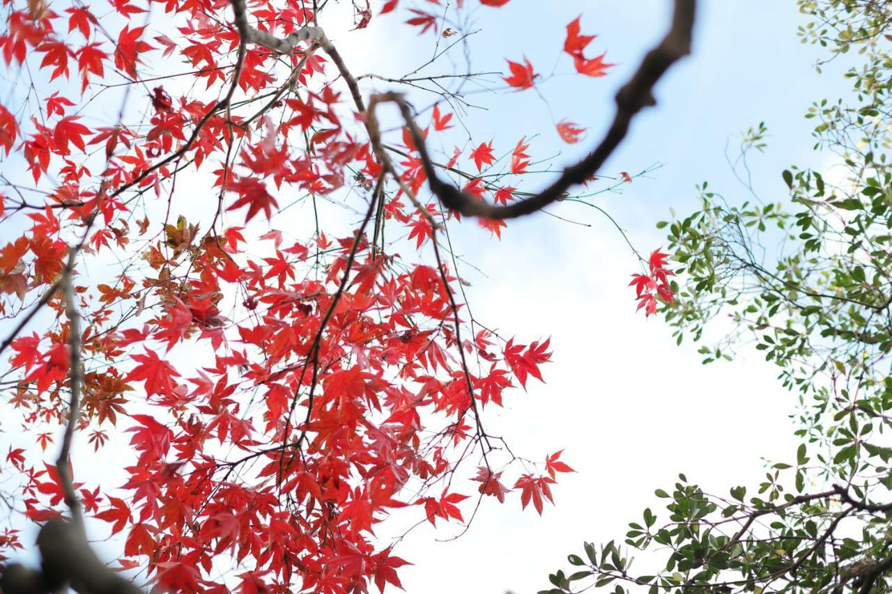 Ryokan Tanoya Киото Екстериор снимка